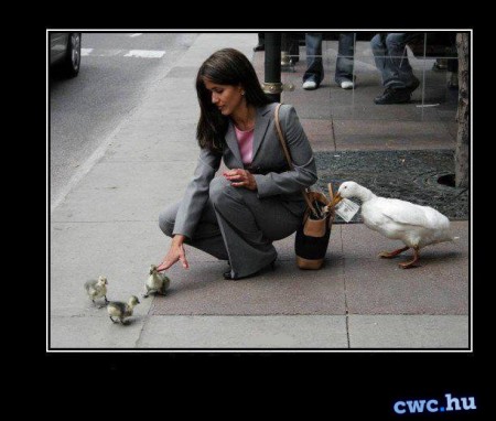 Egy profi társaság!